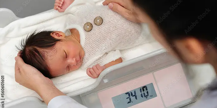 spezialwaagen_560601601_Preview-sm