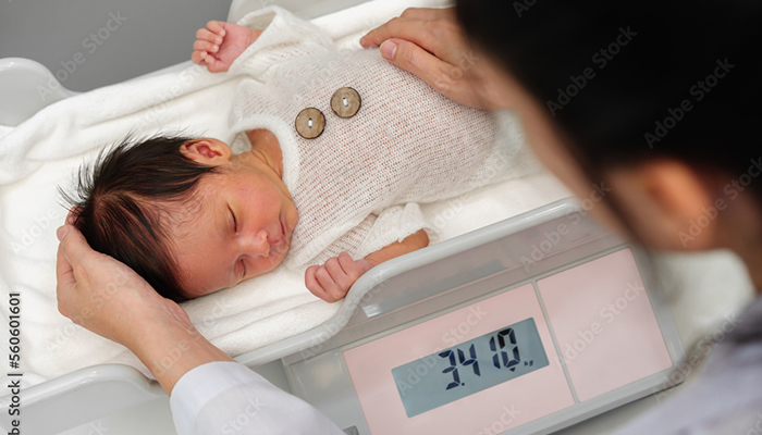 spezialwaagen_560601601_Preview